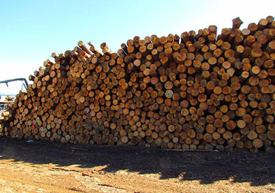Hixdon Lumber Treating Lumber